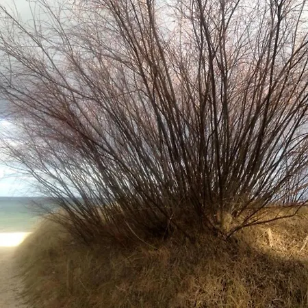 Prázdninový dům Alessandra *