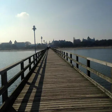 Alessandra Zinnowitz